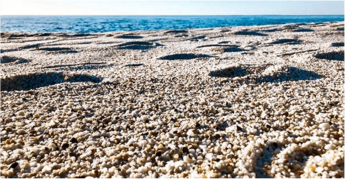 immagine spiaggia granelli di quarzo maimoni