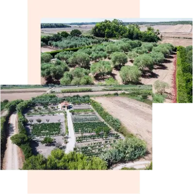 immagini azienda vista da drone